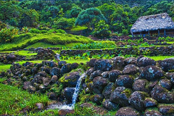 Limahuli Garden and Preserve